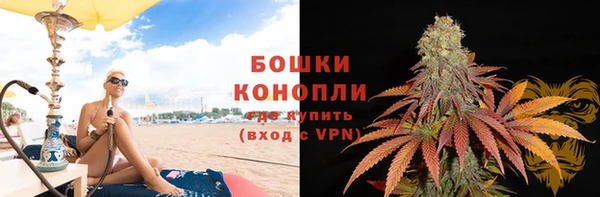 ГАЛЛЮЦИНОГЕННЫЕ ГРИБЫ Михайлов